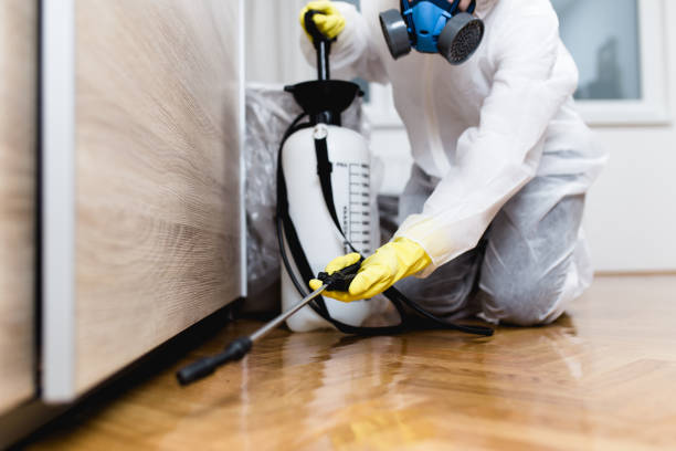Best Pest Control Treatment  in Pleasant Ridge, MI