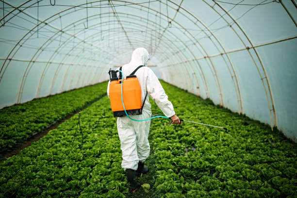 Best Commercial Pest Control Services  in Pleasant Ridge, MI