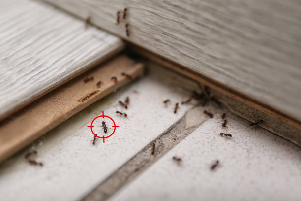 Best Wildlife Control Services  in Pleasant Ridge, MI