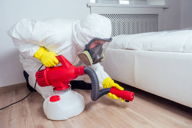 Best Wasp Removal Services  in Pleasant Ridge, MI