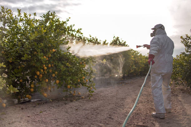Best Pest Control for Homes  in Pleasant Ridge, MI