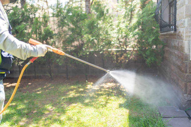 Best Insect Control  in Pleasant Ridge, MI