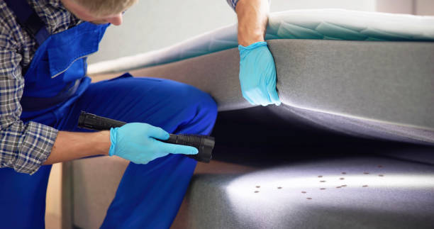 Best Wasp Removal Services  in Pleasant Ridge, MI