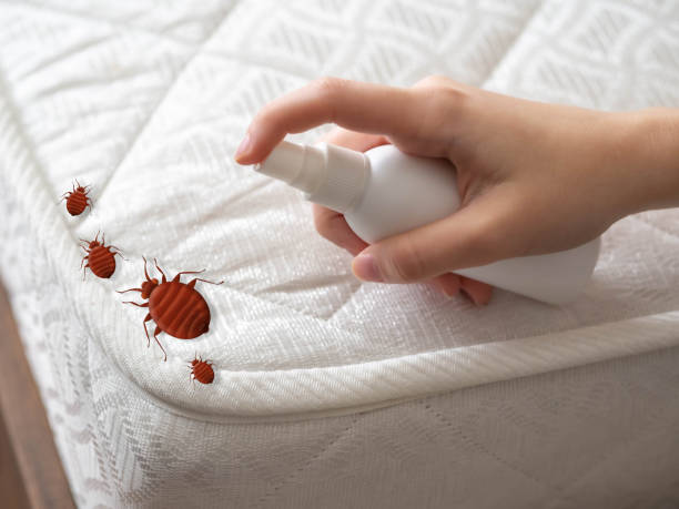 Insect Control in Pleasant Ridge, MI