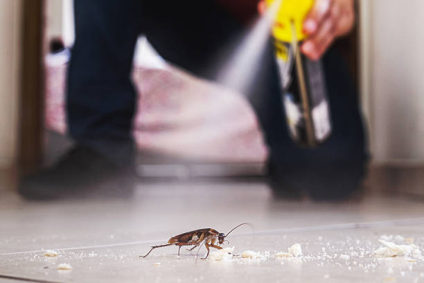 Best Spider Control Near Me  in Pleasant Ridge, MI