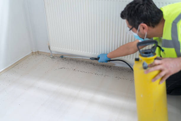 Best Exterminator Services  in Pleasant Ridge, MI