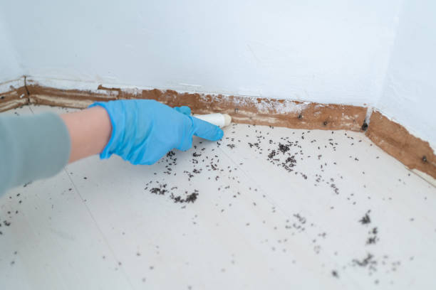 Pest Control Cost in Pleasant Ridge, MI