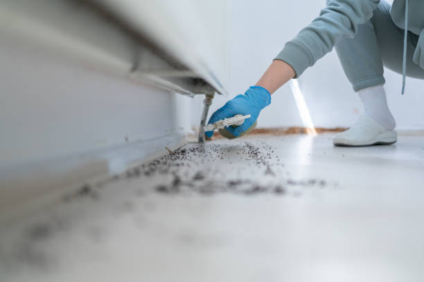 Best Rat Extermination Near Me  in Pleasant Ridge, MI