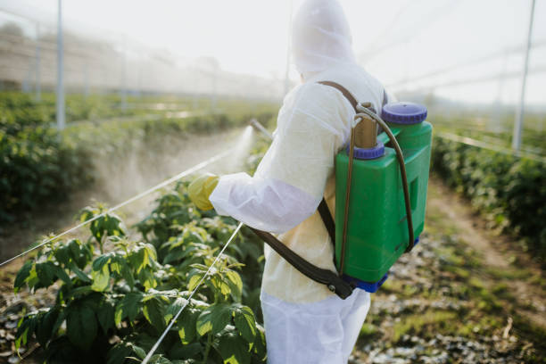 Wasp Removal Services in Pleasant Ridge, MI
